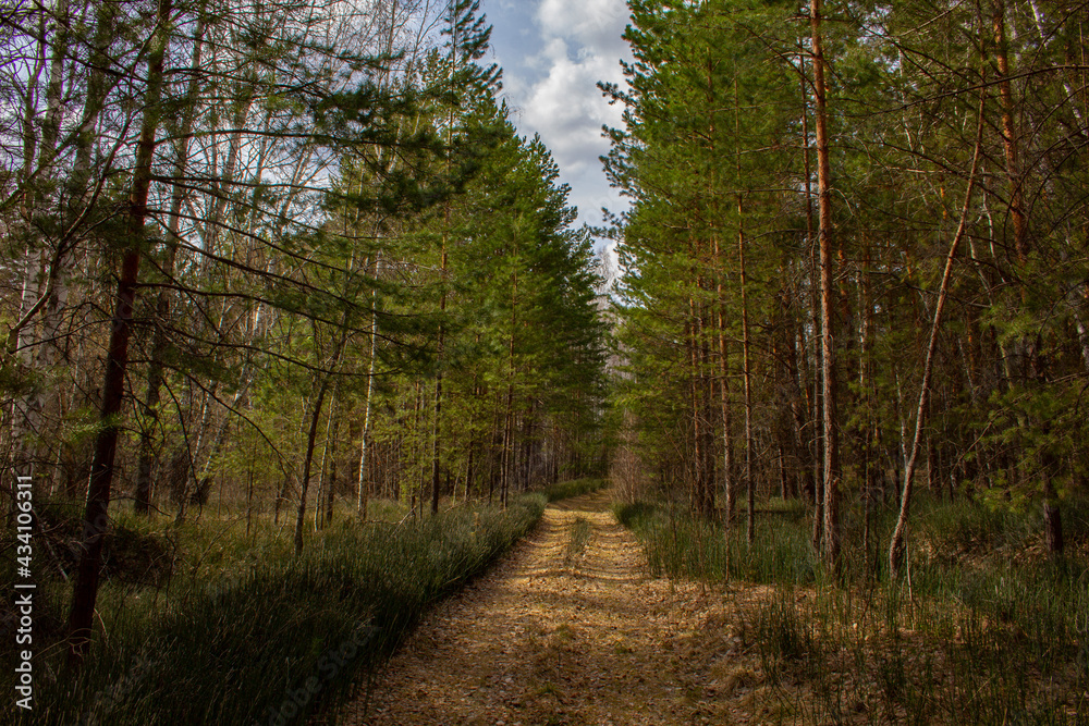 Naklejka premium Easy time in the Urals