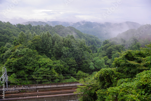 railroad in the forest