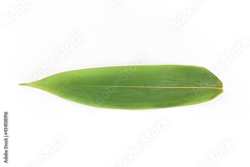 a fresh reed leaf isolated on white background rice dumpling ingredient