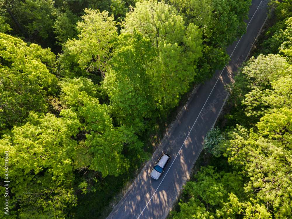 Car on road in the forest in summer time nature from air . View from a drone. Aerial view. Car on road in the forest in summer time nature from air . View from a drone. Aerial view.