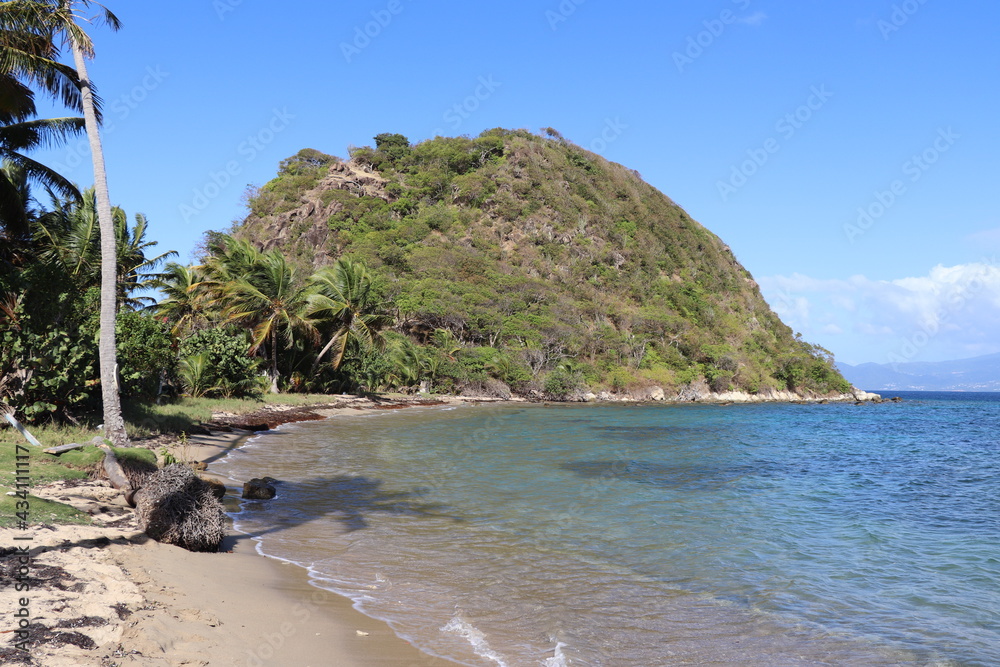 Plage Pain de Sucre Les Saintes Terre de Haut Guadeloupe Antilles Françaises