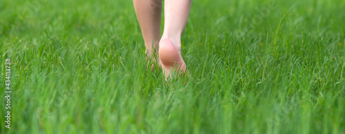 Wallpaper Mural Kid foot walking in green grass on garden. Barefoot concept and healthy feet. Panorama banner. Torontodigital.ca