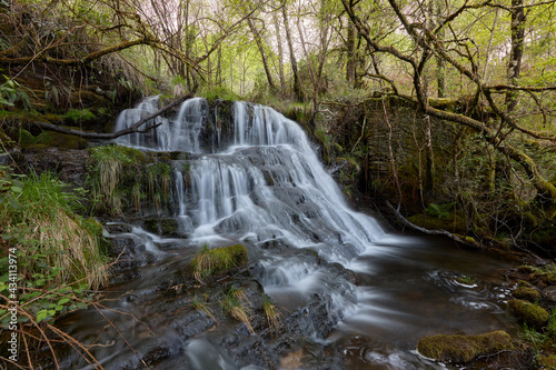 Waterfall in a beautiful forest in the area of Galicia, Spain.