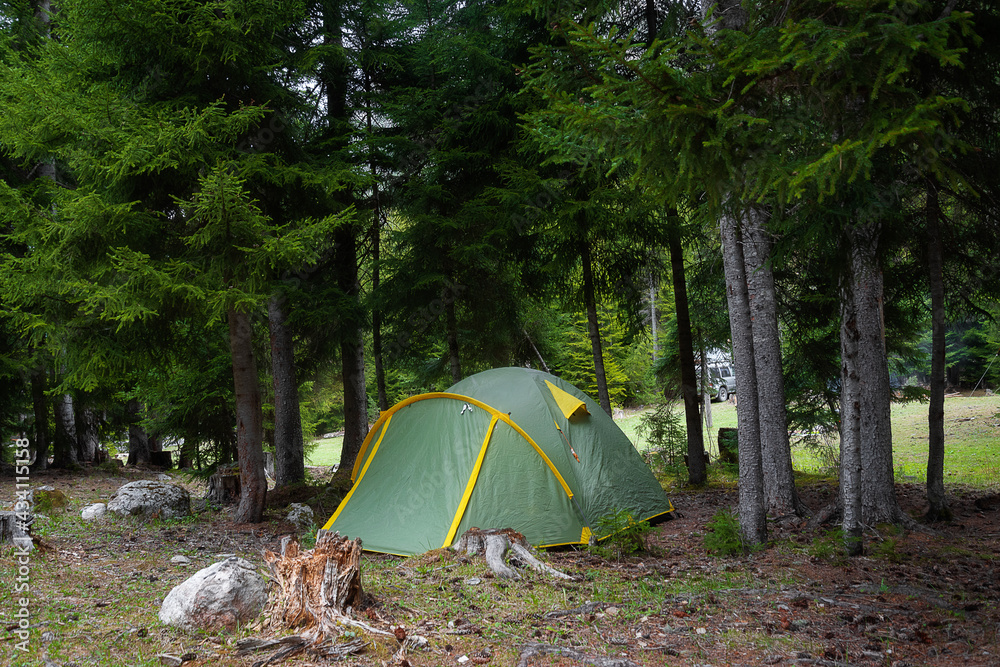 green tourist tent stands under a tree in a coniferous forest