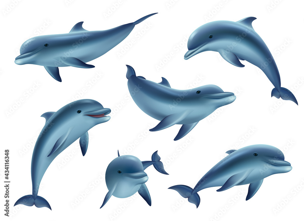 Fototapeta Swim dolphins. Aquarium or ocean underwater marine animals big funny and kind fishes decent vector 3d dolphins in action poses