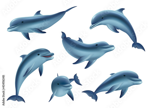 Leinwand Poster Swim dolphins