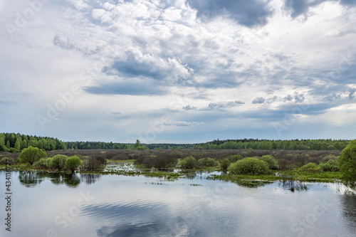 Clouds over the horizon. Landscape with a river and bushes along the shore. Bright green trees and bushes. Early spring.