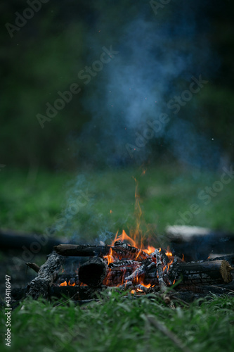 Bonfire smokes in the forest
