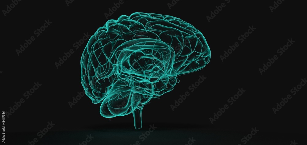 Creative background, the human brain on a blue background, the hemisphere is responsible for logic, and responsible for creativity. of different Creative background, the human brain on a blue background, the hemisphere is responsible for logic, and responsible for creativity. of different
