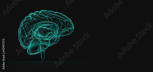 Fototapeta Naklejka Na Ścianę i Meble -  Human brain Anatomical Model 3d illustration.