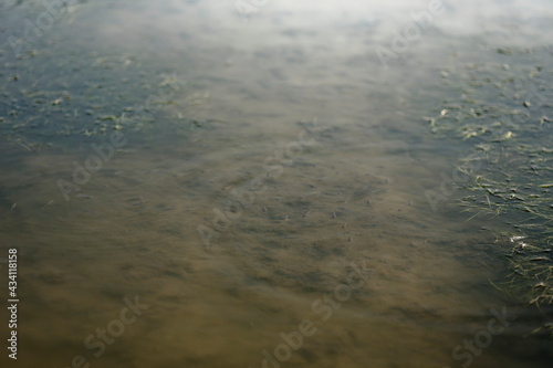 Lake with moss covered in an abstract background.