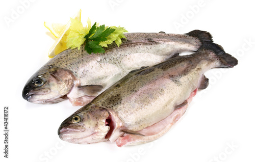 Fresh Fish - Trouts, isolated on white Background.