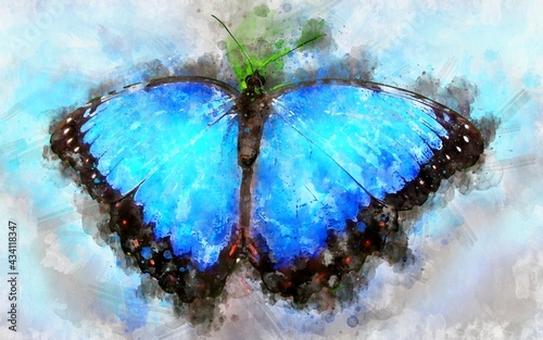 Watercolour illustration of exotical Peleides blue morpho butterfly