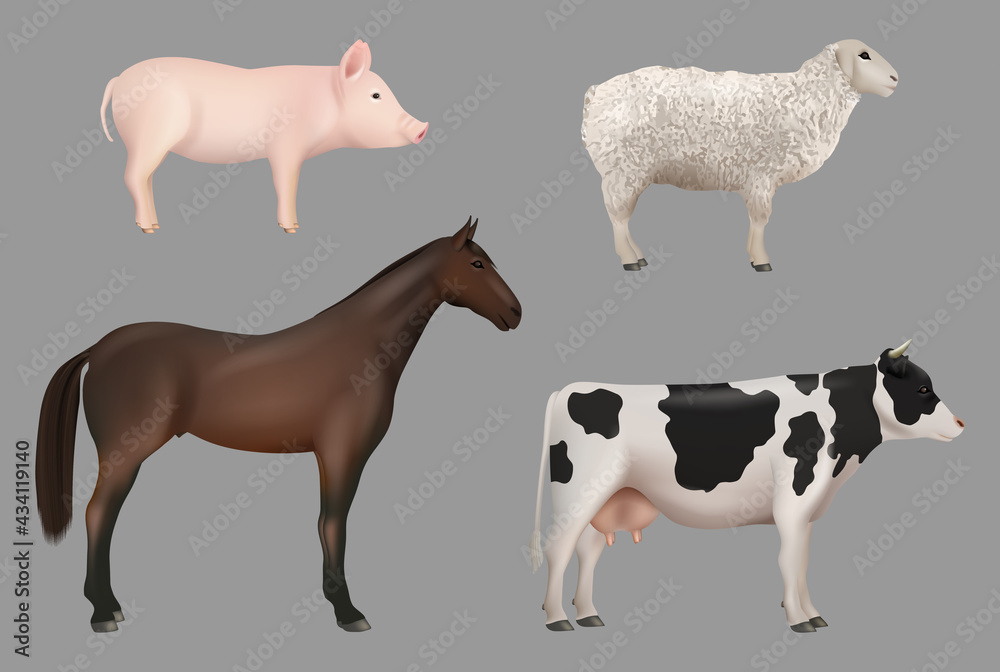 Farm animals. Domestic cow with milk pig horse sheep decent vector realistic animals collection