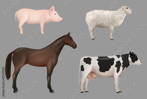Farm animals. Domestic cow with milk pig horse sheep decent vector realistic animals collection