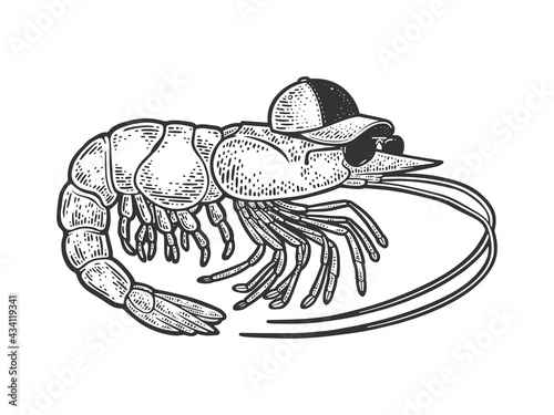 Cartoon shrimp with cap and sunglasses sketch engraving vector illustration. T-shirt apparel print design. Scratch board imitation. Black and white hand drawn image. photo