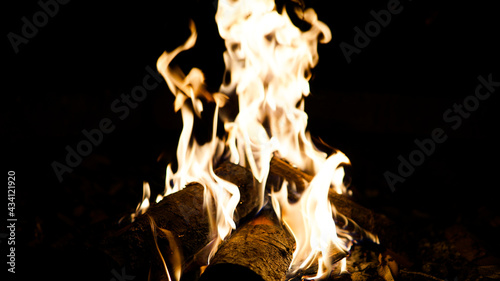 Burning campfire on a dark night