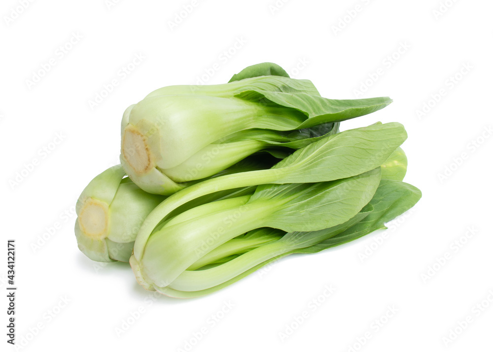 Fresh bok choy vegetable fresh (chinese cabbage) isolated on white background Fresh bok choy vegetable fresh (chinese cabbage) isolated on white background