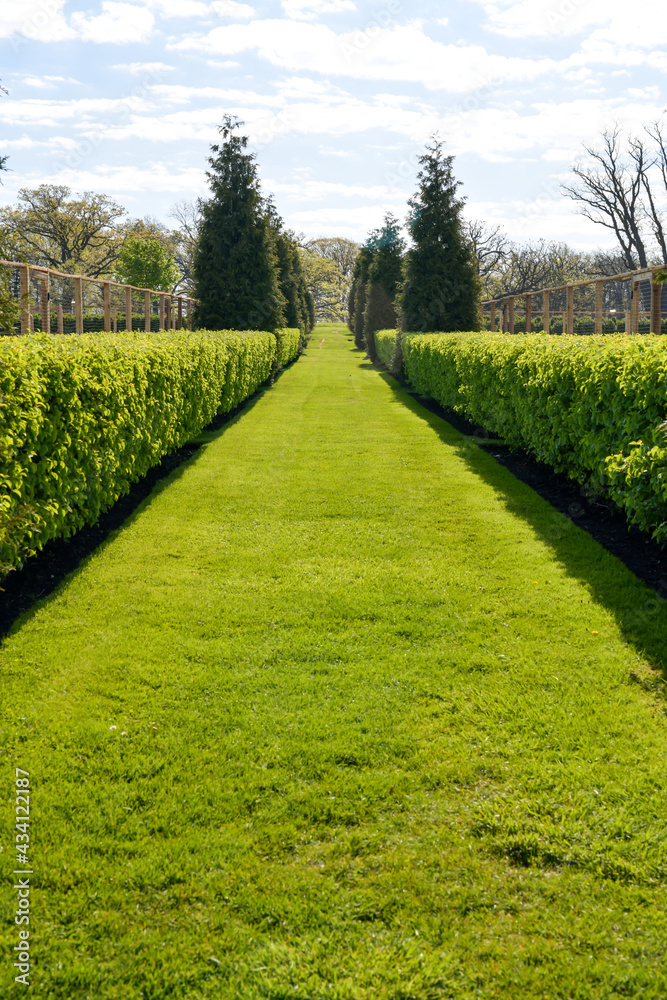Obraz premium Green Grass Garden path and garden ornament
