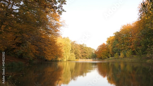 jesienny krajobraz  © Piotr