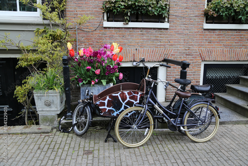 Tulips and bicycles symbols of the city of Amsterdam