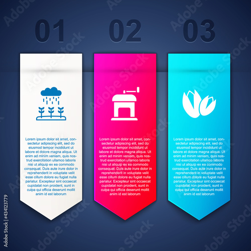 Set Plant sprouts grow in the rain, Manual coffee grinder and Pistachio nuts. Business infographic template. Vector