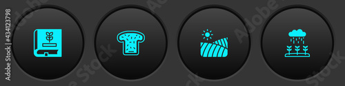 Set Book about seeds, Bread toast, Agriculture wheat field and Plant sprouts grow in the rain icon. Vector