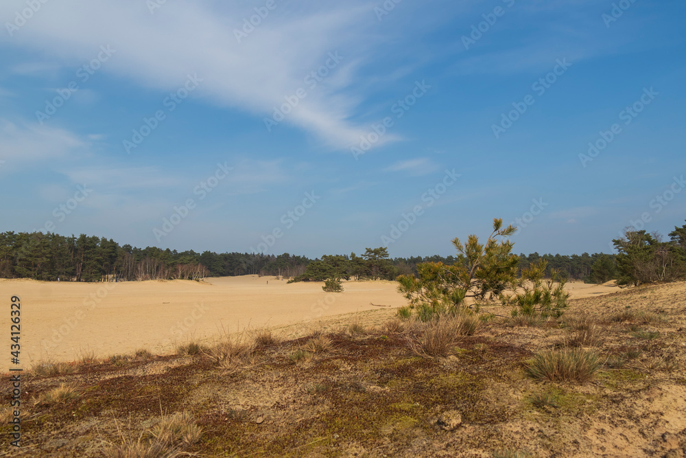 zandverstuiving veluwe