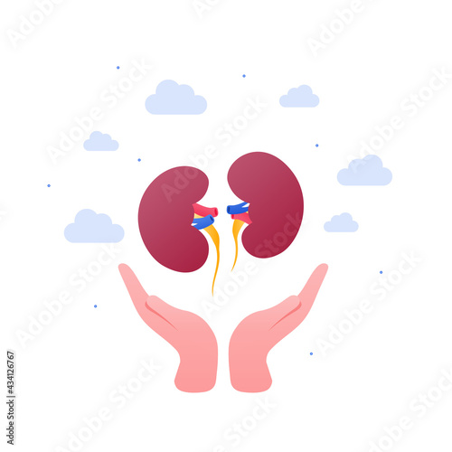 Urology and organ transplantation concept. Vector flat medical illustration. Human hand holding human kidney organ isolated on white background. Design for health care, charity.