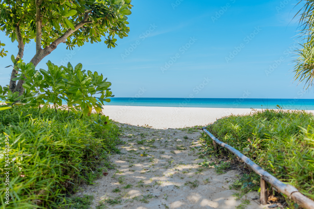 A sandy path in the shade leading to a tropical beach with turquoise water. Summer concept