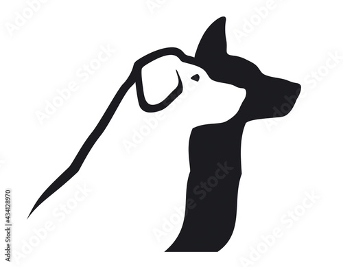 Two dogs looking in the same direction