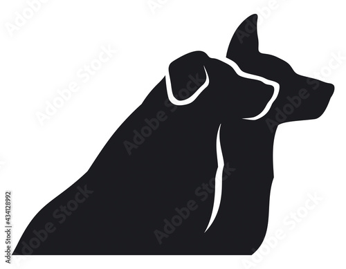 Two dogs looking in the same direction