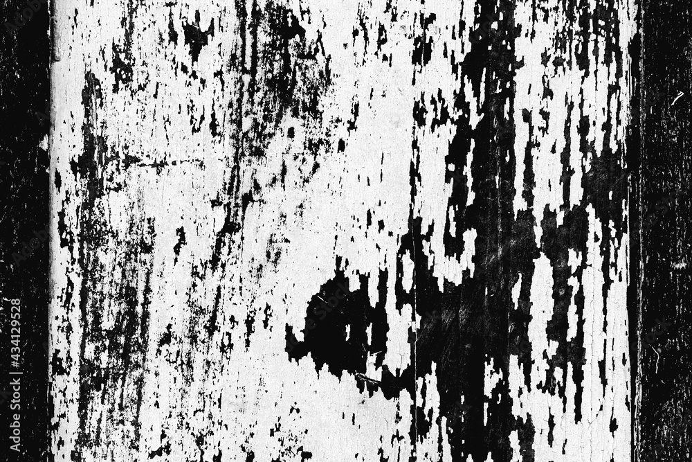 White wood texture background of distressed pine wood with knots Stock Photo Adobe Stock