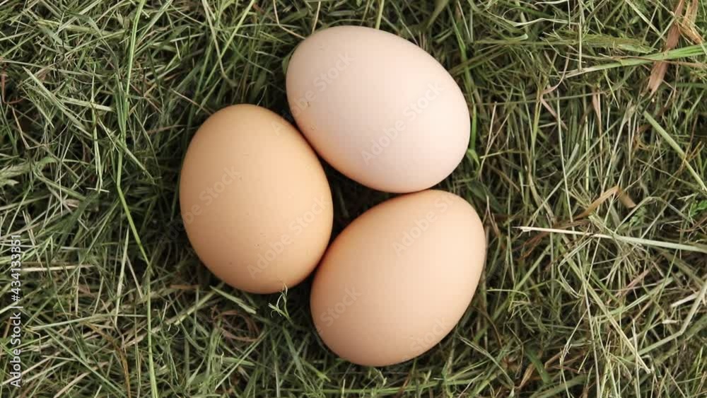 Free-range hen eggs in a hay nest. Three organic farm eggs. Top view. Rotation. Free-range hen eggs in a hay nest. Three organic farm eggs. Top view. Rotation.