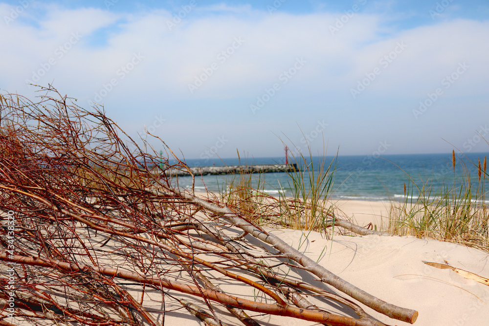 Warm sea sand on the Baltic Sea beach