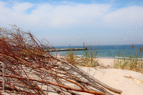 Fototapeta Naklejka Na Ścianę i Meble -  Warm sea sand on the Baltic Sea beach