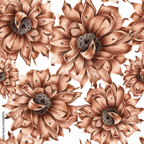 Dried flowers pattern. Botanical watercolor illustration. Isolated 