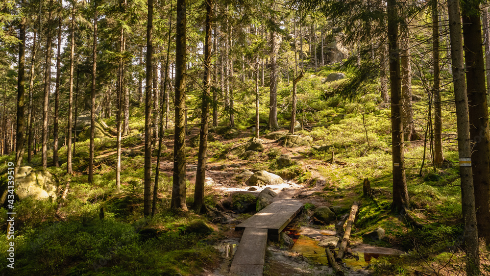 Trail in White Rocks, Stołowe Mountains, Poland. Trail in White Rocks, Stołowe Mountains, Poland.