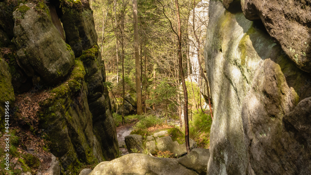Fototapeta premium Trail in White Rocks, Stołowe Mountains, Poland.