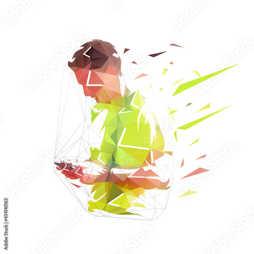 Man holding cell phone and typing message, text messaging. Low polygonal isolated vector illustration. Geometric drawing from triagnles, side view