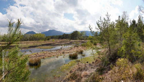 Wildes Moor bei Kolbermoor/Bad Feilnbach