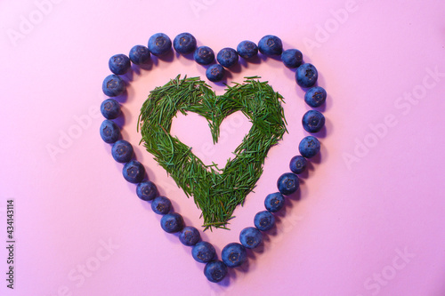 heart of blueberry and needles