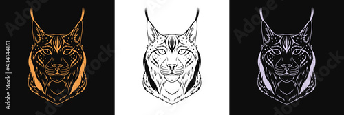 Gold, black and silver lynx head, set of isolated outline lynx face. Predatory bobcat