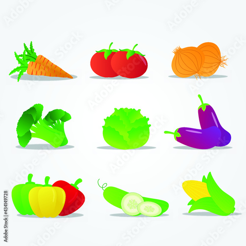 Fototapeta Naklejka Na Ścianę i Meble -  Set of vegetable icons vector isolated

