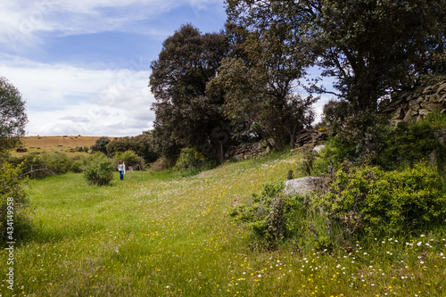 Woman walking through the green meadow with wild flowers of many colors.