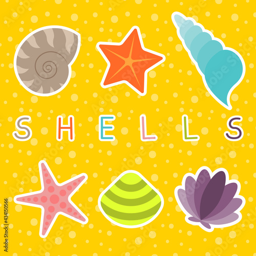 Summer Sea Shells And Starfish Set