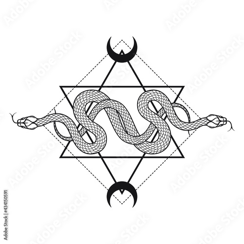 Two serpents over the six pointed star line art boho chic tattoo, poster, tapestry or altar veil print design vector illustrationTwo serpents over the six pointed star line art boho chic tattoo, poste