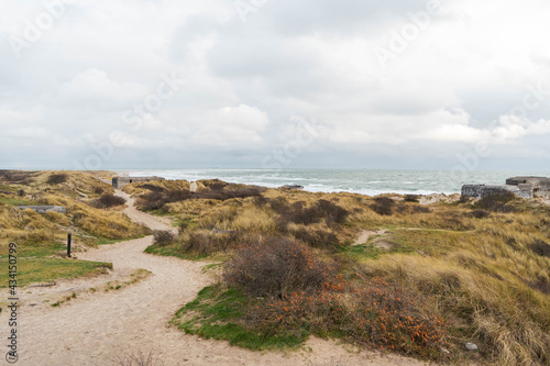 path to the sea grenen Denmark