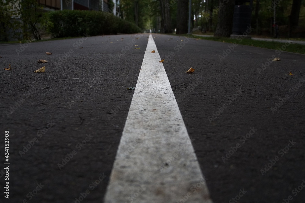 Obraz premium road in the city