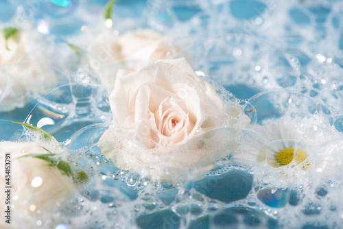 White rose on bubbles bath foam.